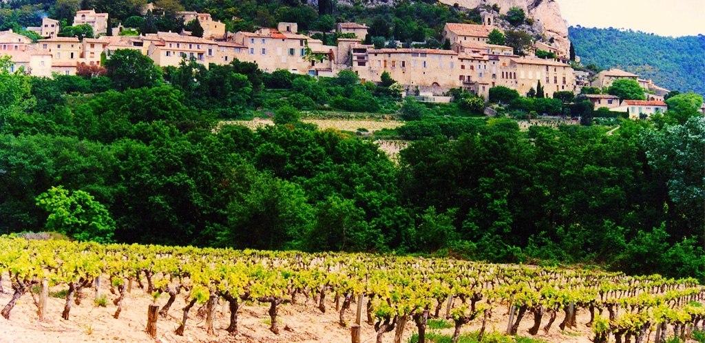 I vini delle Côtes du Rhône