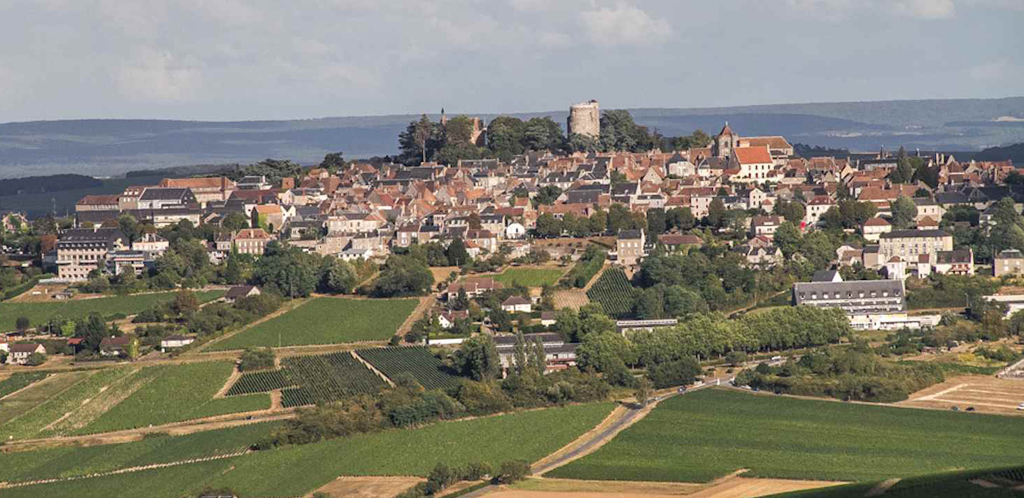 I vini della Valle della Loira