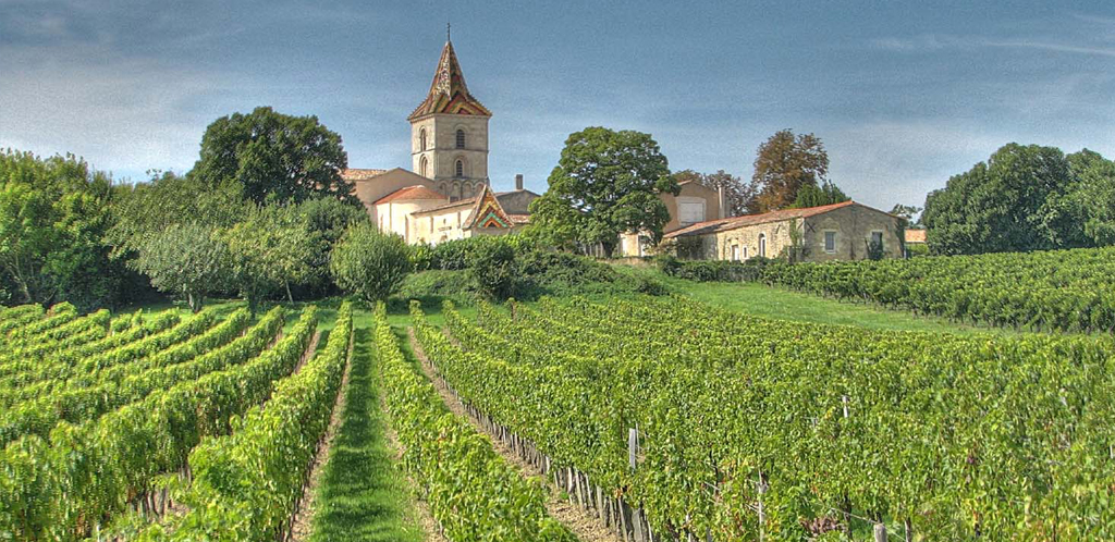 A spasso tra i vigneti della Gironda