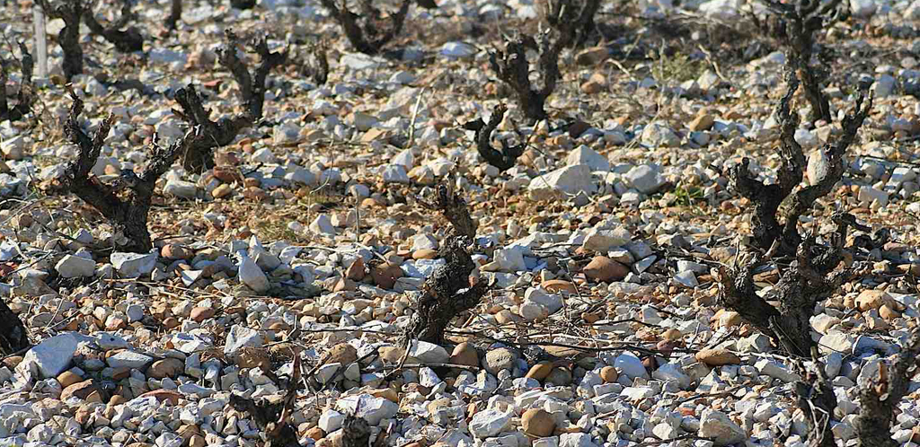 La culla dei vini liquorosi più celebri