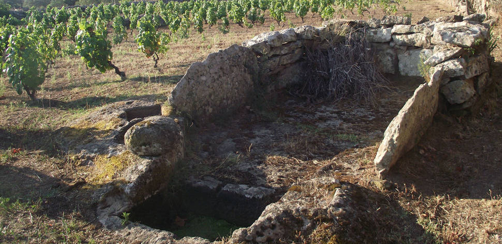 Nella terra del Cannonau