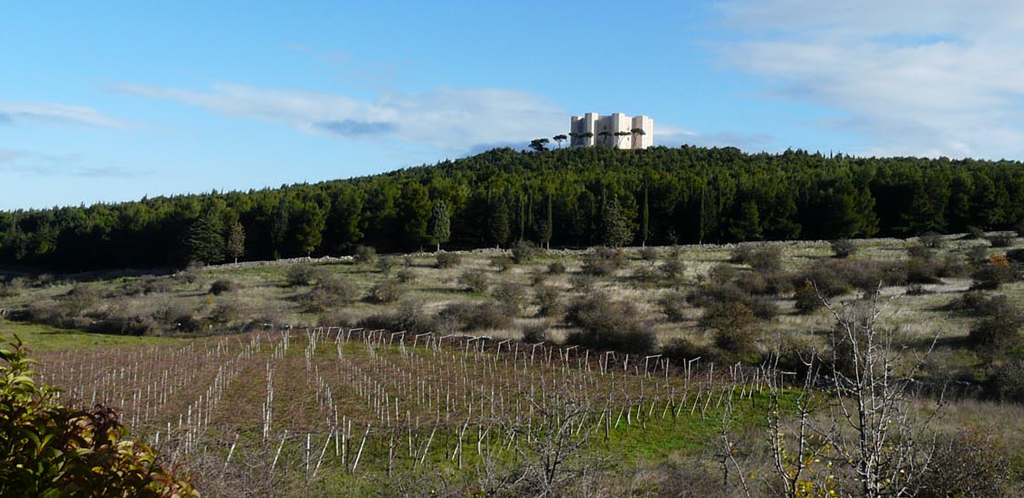 Da secoli terra di vino