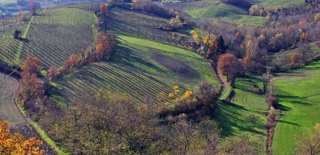 Andar per vini in Emilia