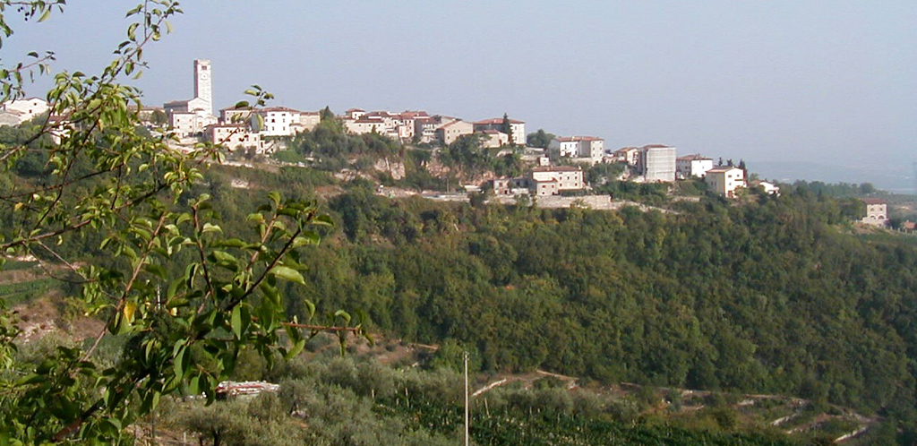 Nella terra dell’Amarone